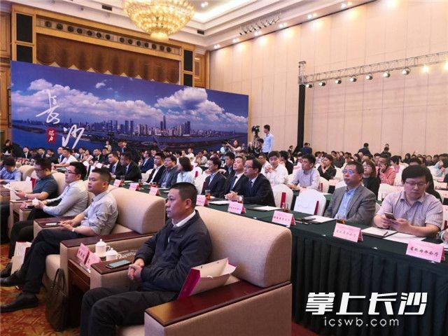 湖南投资最新公告,迈向未来的战略布局与动态