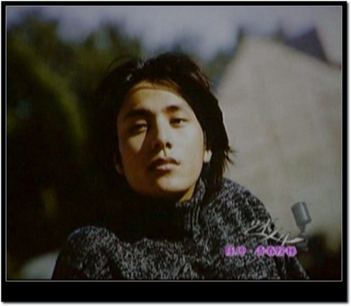 董洁陈坤最新动态揭秘,获取与解读娱乐新闻的步骤指南