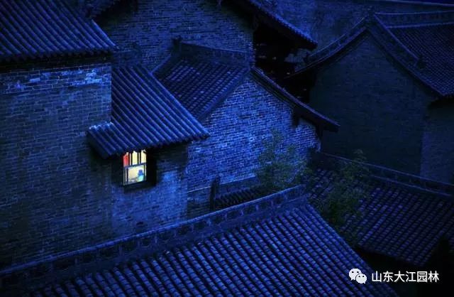 青翘的最新信息,小巷中的隐秘宝藏