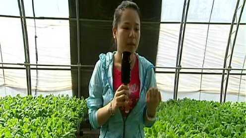 白玉娥2016最新讲道,科技新品璀璨登场,体验未来生活魅力