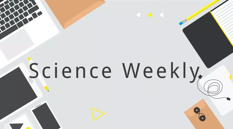 pppp44最新域名,探索前沿科技,掌握最新动态