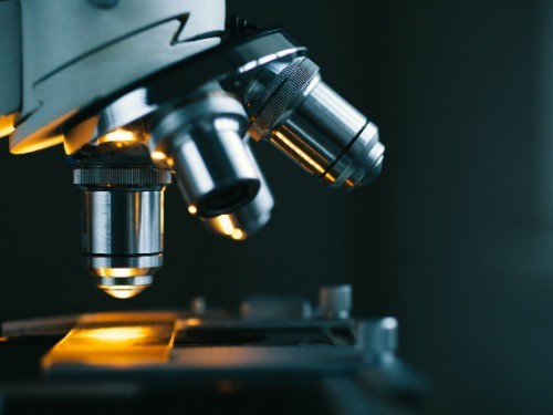 北坂最新新闻回顾,时代背景下的瞩目焦点