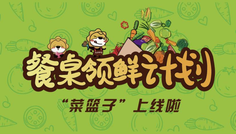 群龙无首 第5页