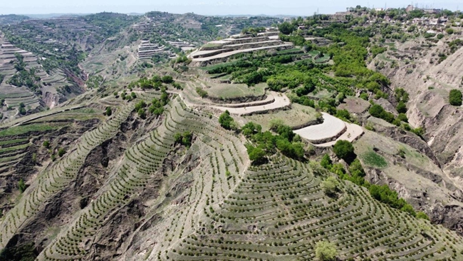 龙泉黄土镇最新规划