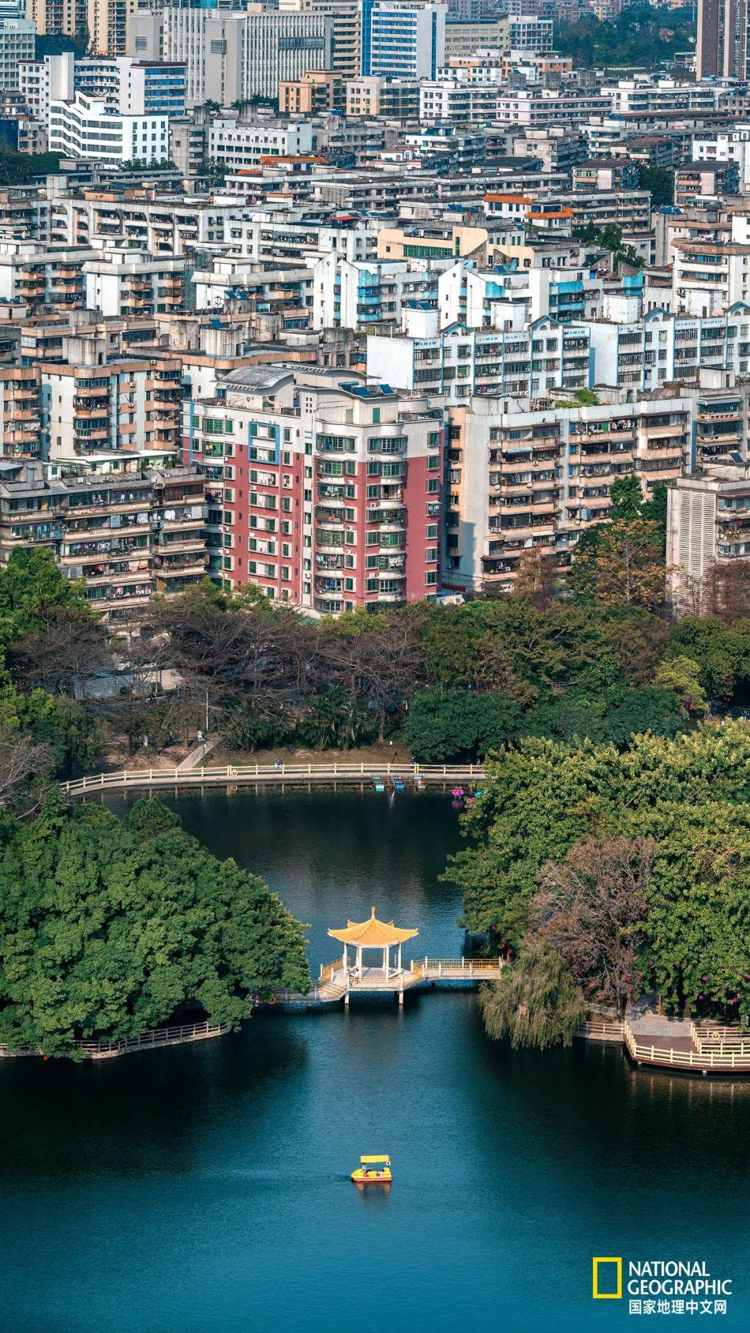 茂名最新楼价表格,城市房产市场动态分析
