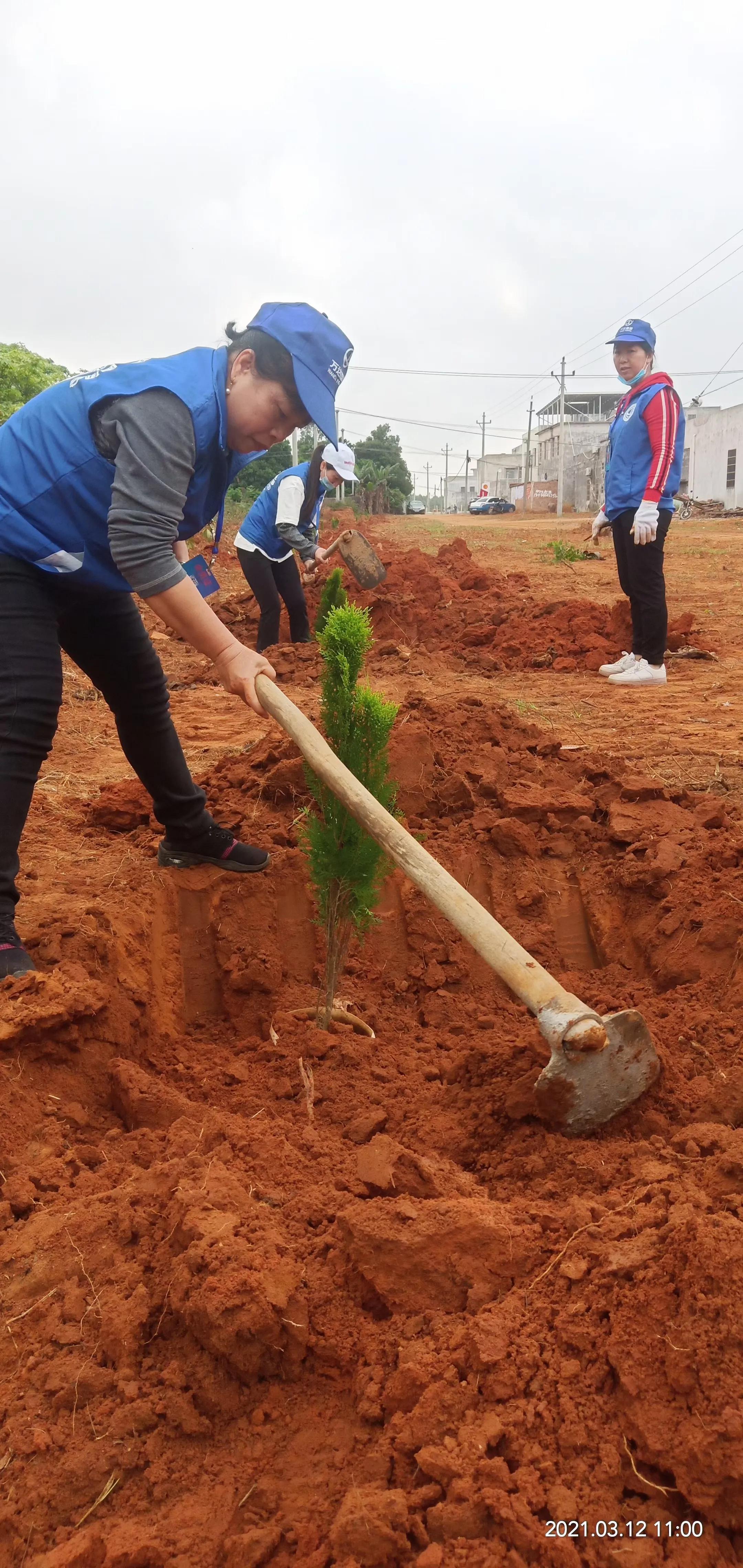 湛江国旅最新报价,科技之旅,启程未来