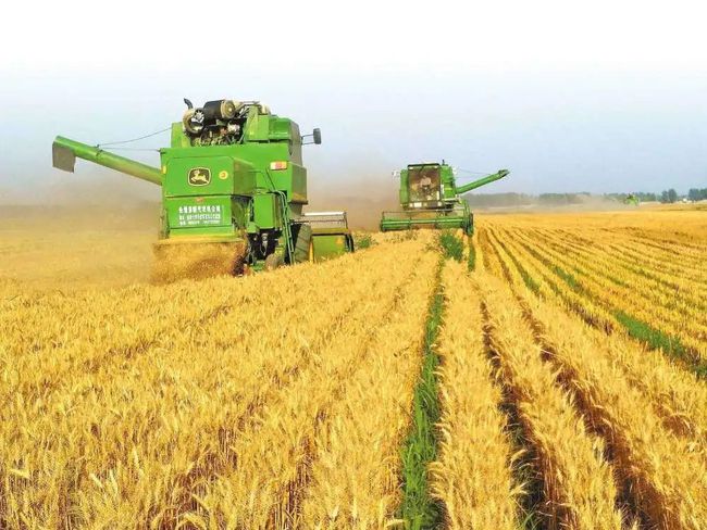 河南黄豆最新价格行情,科技引领,行情尽在掌握