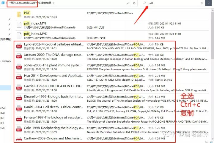 澳门免费资料大全开奖结果,实时异文说明法_RDM94.659可穿戴设备版