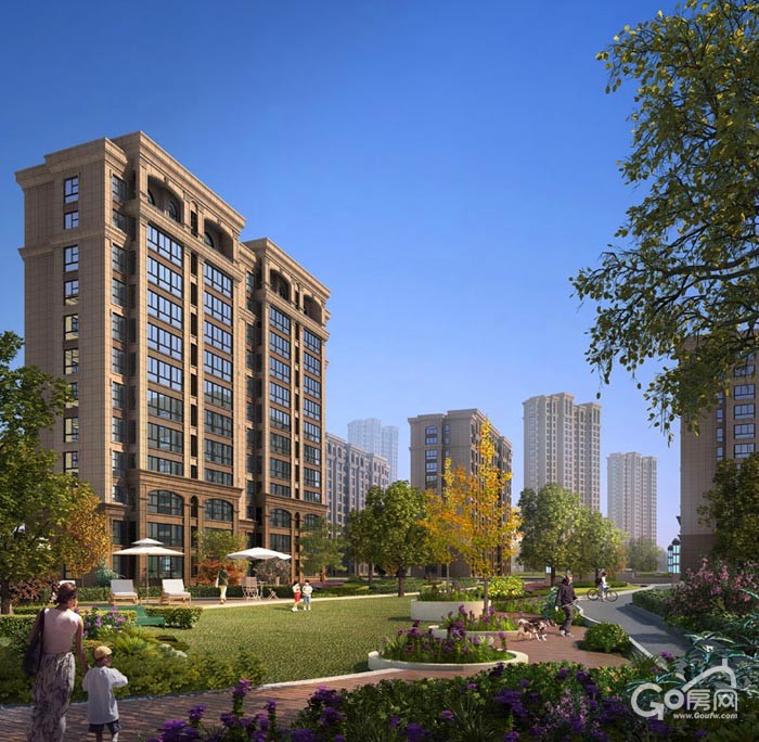 阜宁帝逸国际最新信息全面概览