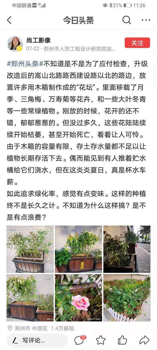 郑州老鸦陈改造的最新进展及其影响,一种观点的分析