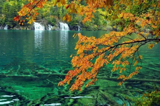 点我进入最新域名3,一场与自然美景的浪漫遨游