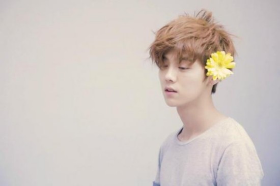 李宇春身价揭秘,星光下的温馨日常