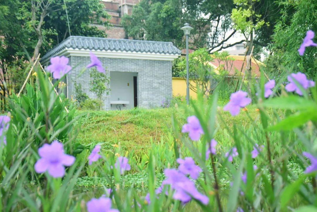 追寻自然美景之旅,中纪常委名单背后的宁静力量