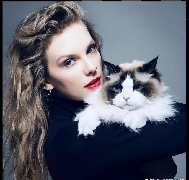 泰勒斯威夫特最新MV,领略科技魅力,让生活因音乐而精彩