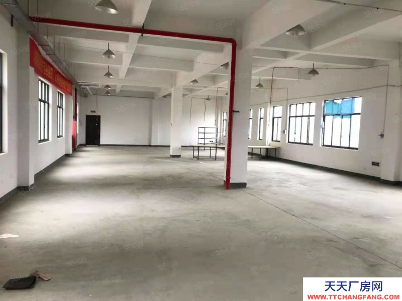小红书推荐,安吉厂房出租最新信息汇总