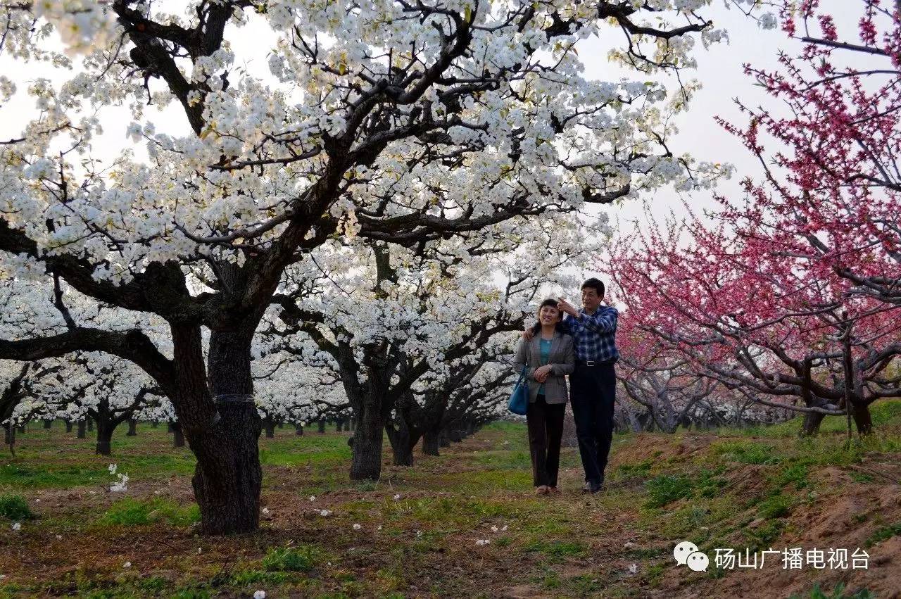 心猿意马 第5页