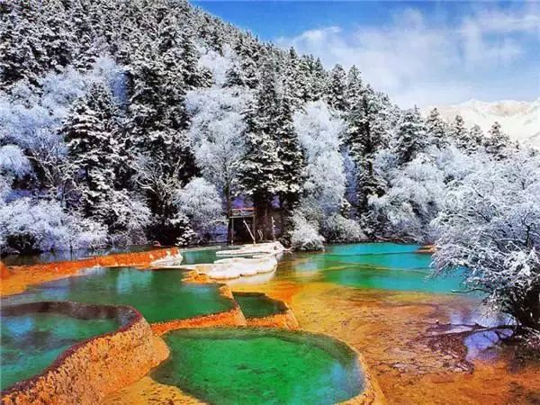 雀巢孕妇奶粉最新事件,与自然美景的邂逅与内心宁静之旅探索