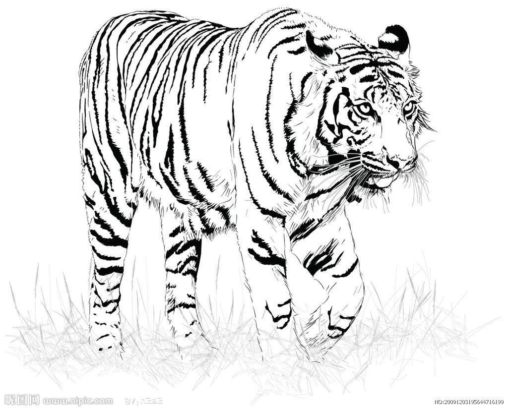 2024澳门白老虎正版资料,实时分析处理_ITB79.959先锋实践版