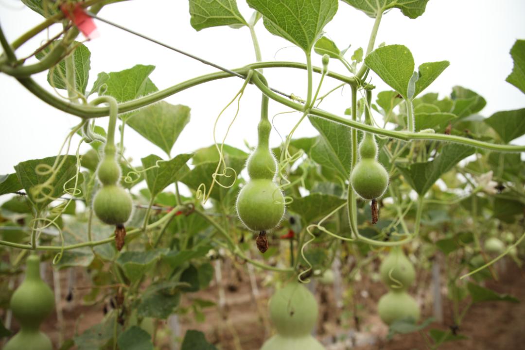 华夏博园最新价格,变化中的学习,自信与成就感的源泉