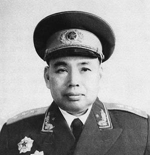 最新中越战争电影,一场自然美景的探索之旅