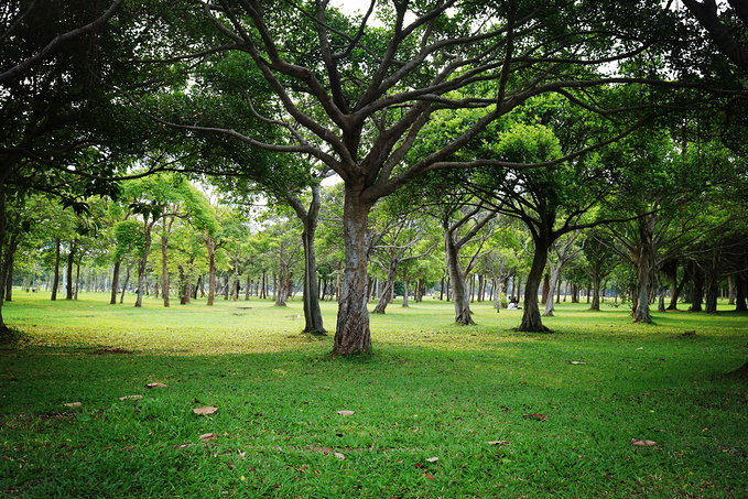 日照最新饭店转让信息,一场与自然美景的旅行邂逅,寻找内心的平静