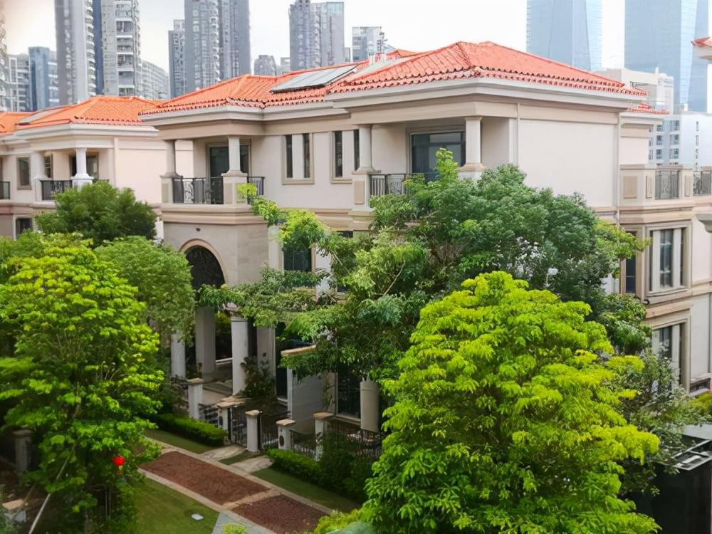 深圳公车拍卖最新公告