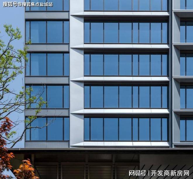 新奥门特免费资料大全今天的图片,信息明晰解析导向_RKA79.539精密版