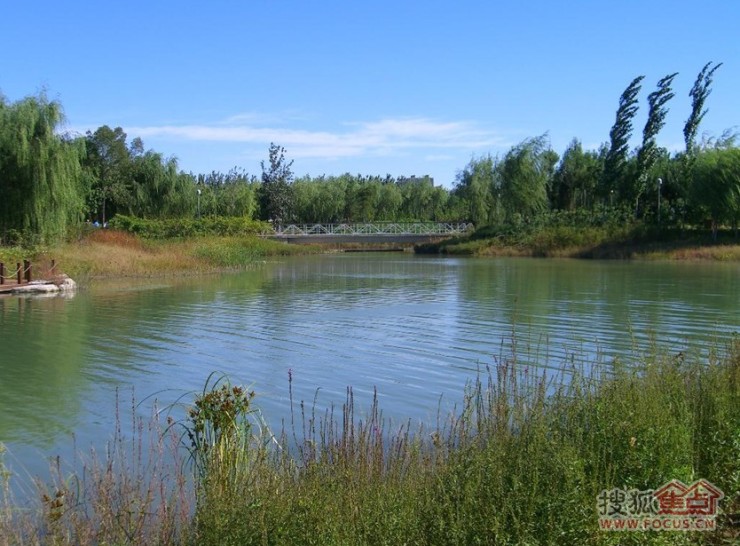 东方美丽湾最新动态