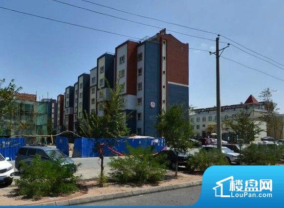 肃宁世纪龙城最新价格,变化中的价值,学习中的自信与成就感