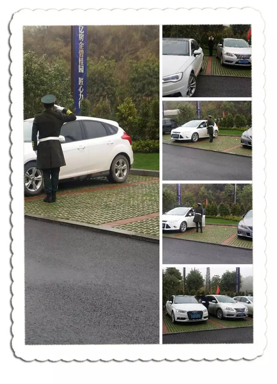 罗定碧桂园最新动态,发展前沿的多元视角