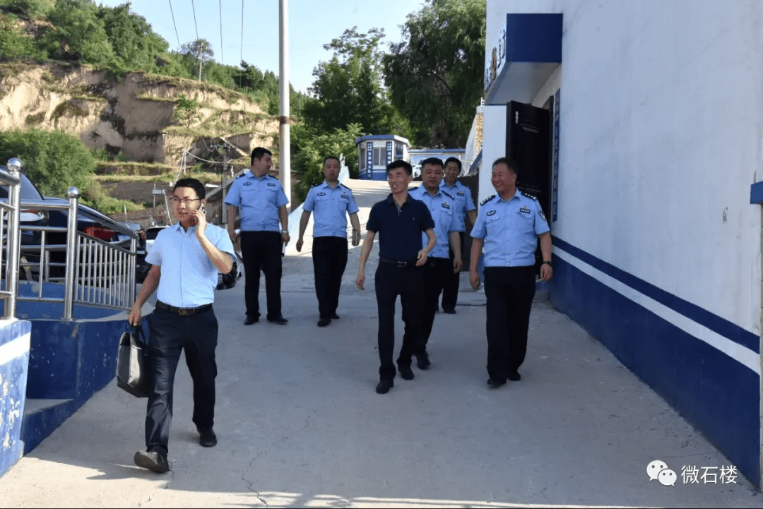 河池最新土狗打架视频,观看与研究步骤指南