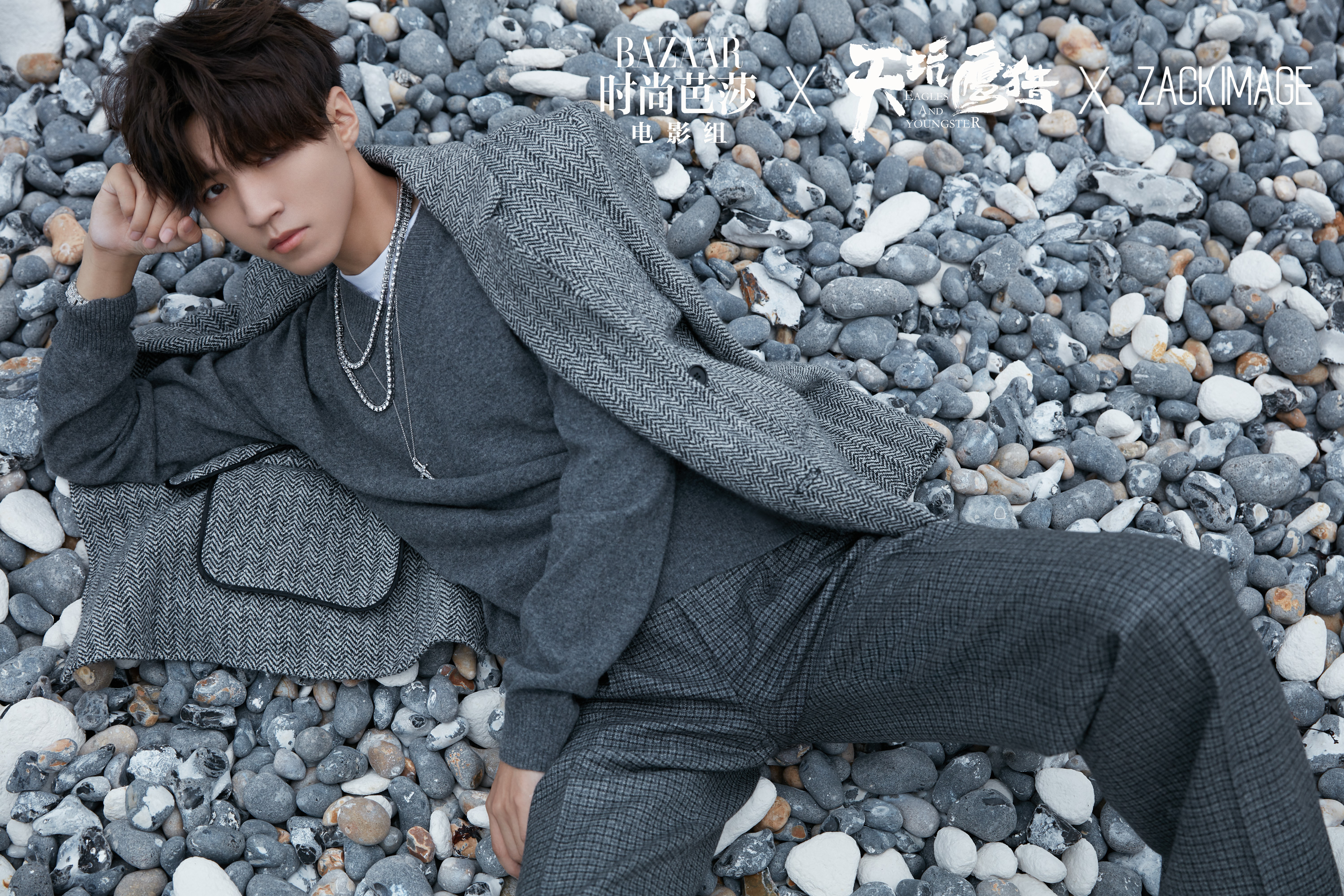 王俊凯最新小说,深度探讨及其观点分析