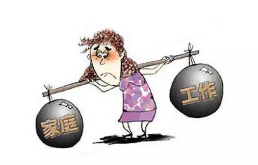 晨风最新宰杀肉畜图,现代屠宰业的科技与人道关怀