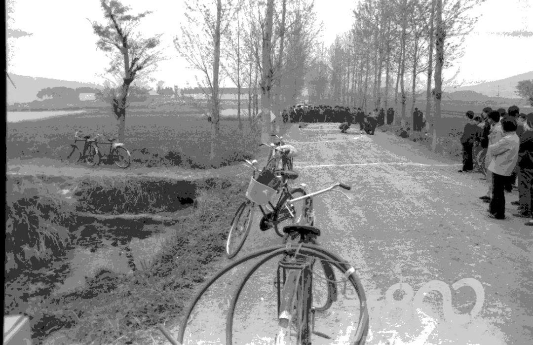 宜城司机最新招聘,科技驱动,驾驭未来