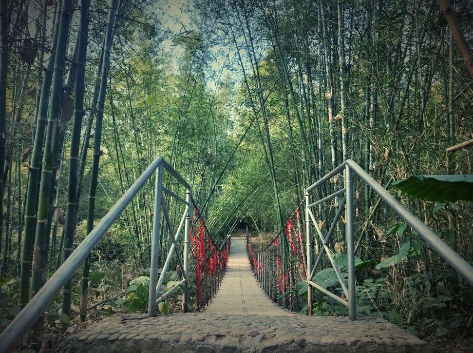 合青铁路最新动态,探秘小巷中的铁路情怀与隐藏美食