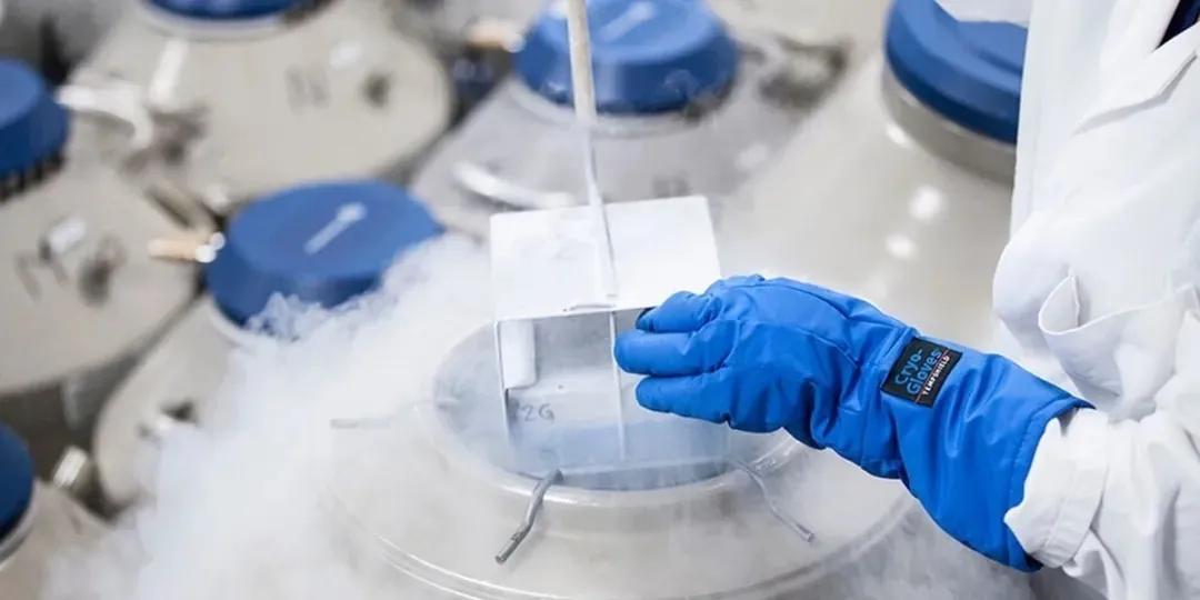 最新外国阵痛分娩土豆,一种革命性的生育技术