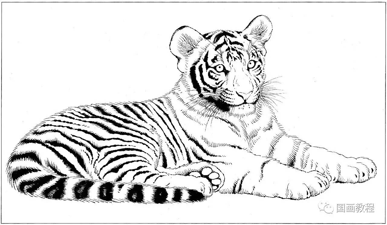 白老虎免费资料大全资料,理学_ACF35.301私人版