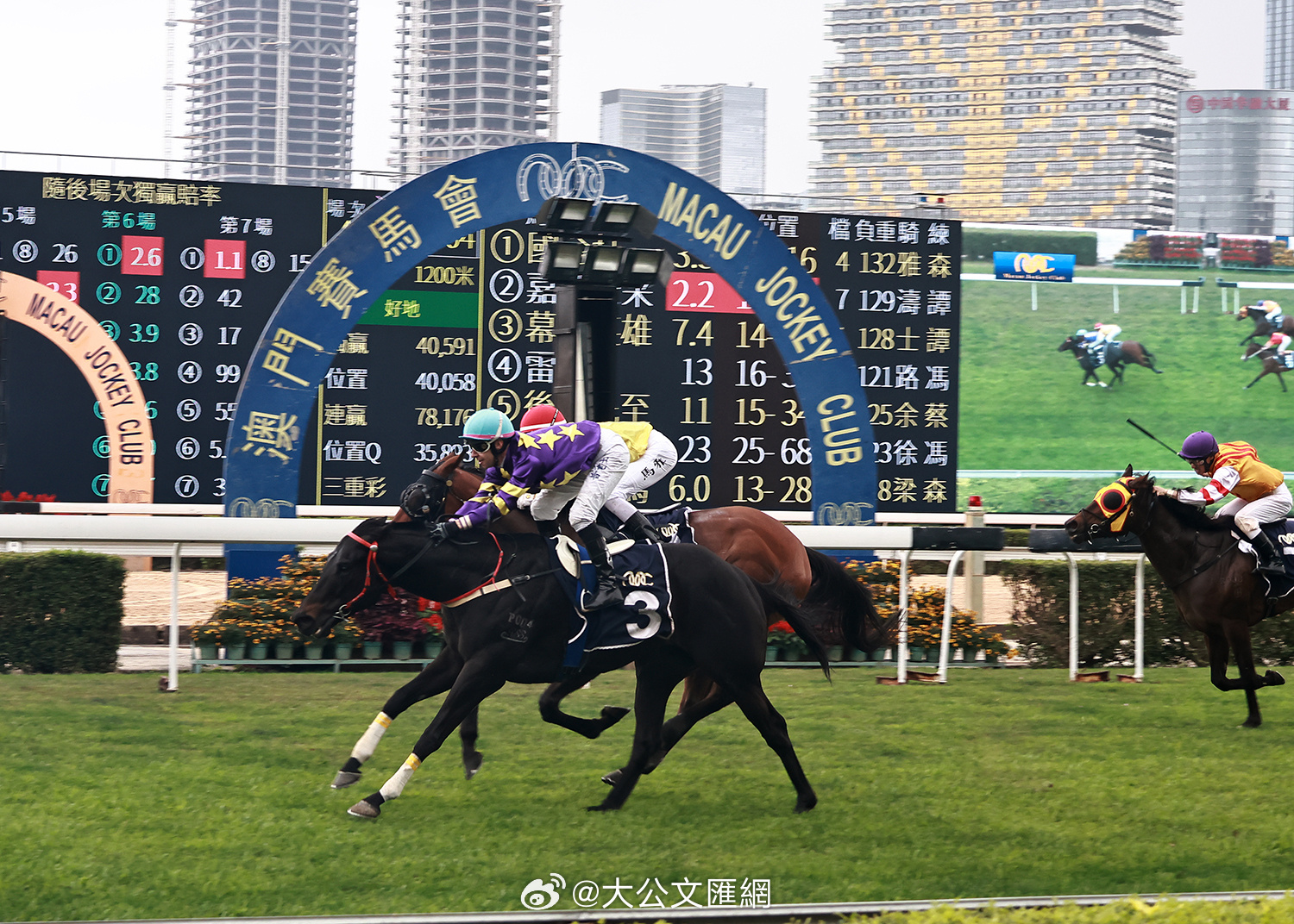 今晚新澳门跑马图,数据管理策略_BEU35.718抗菌版