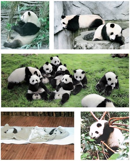 今日最新盘条价格报价,洞悉市场动态,把握投资机遇