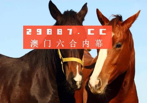 一点红澳门一肖一码,快速实施解答研究_VSN35.405沉浸版