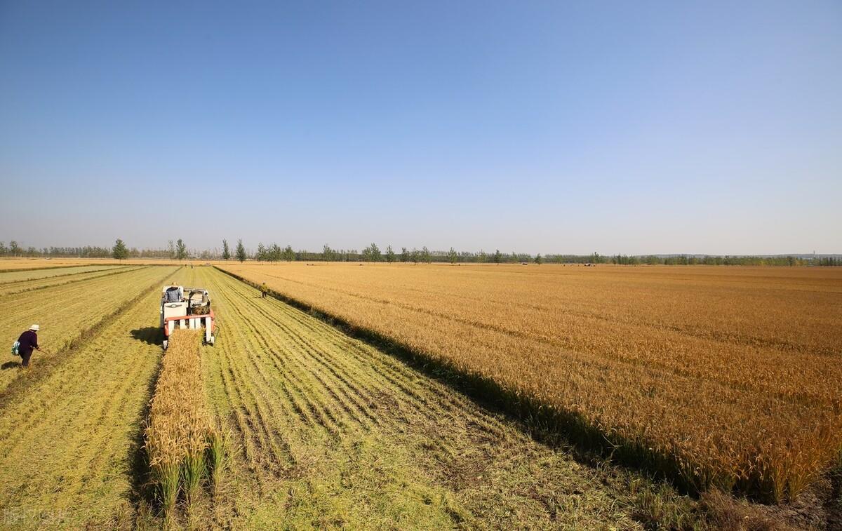 气势磅礴 第5页