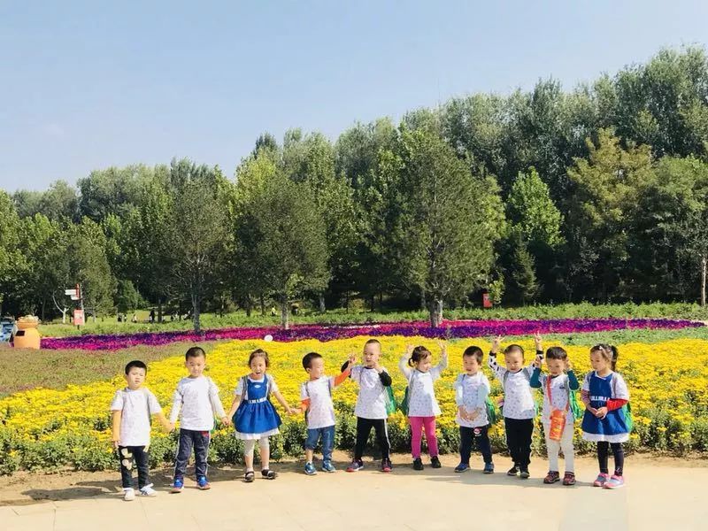 昆明中望城最新动态,一场自然美景的探索之旅