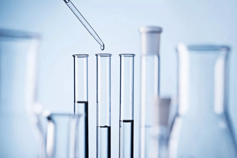 最新猎人卡组2024,一路学习,自信闪耀