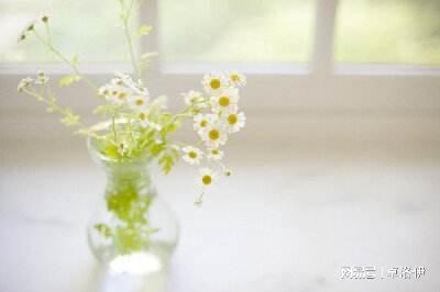 默默情深最新章节,情感深度,静待花开