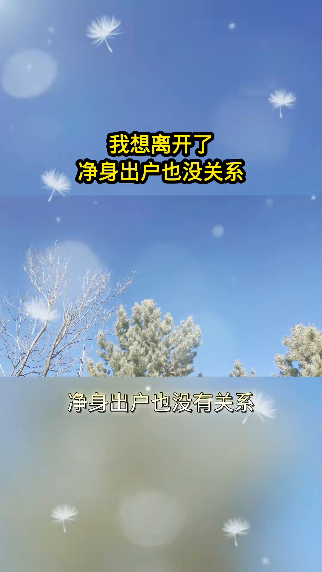 默默情深最新章节,情感深度,静待花开