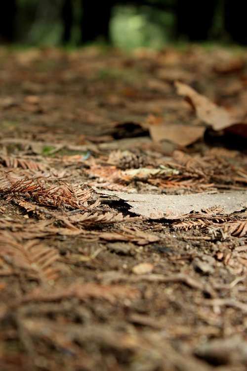 穆棱奋斗水库最新动态,一场自然美景的探索之旅