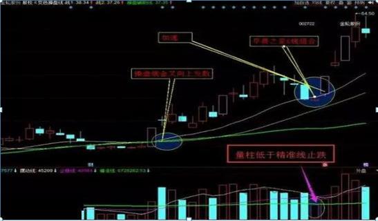 金轮股份最新行情,行业趋势、市场表现与前景展望