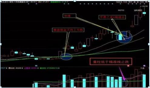 金轮股份最新行情,行业趋势、市场表现与前景展望