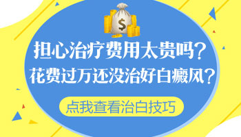 石家庄鸡蛋最新报价,巷弄深处的鲜味秘境