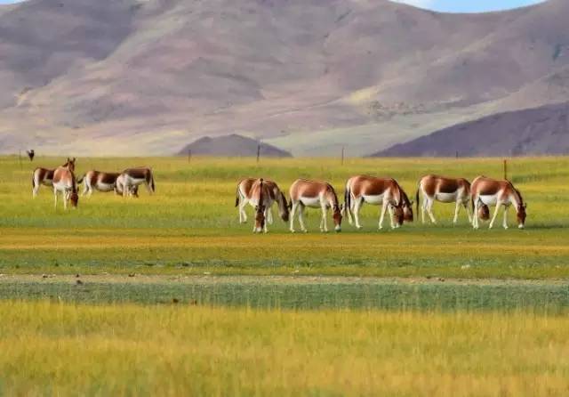 兰州港联最新动态,探索自然美景的旅行,寻找内心的宁静之乐